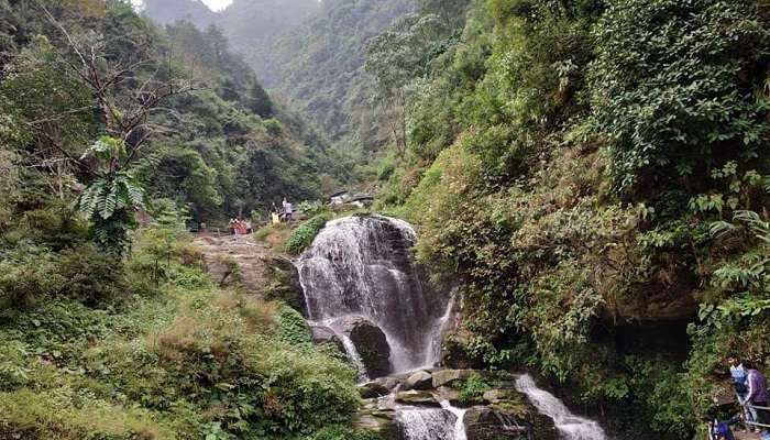 The Rock Garden- Darjeeling In August