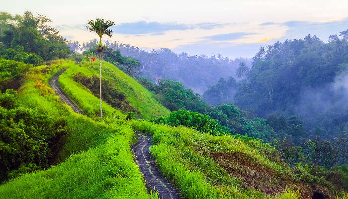 Tjampuhan Ridge Walk