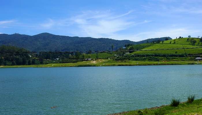 Gregory Lake is one of the most picturesque attractions in Nuwara Eliya