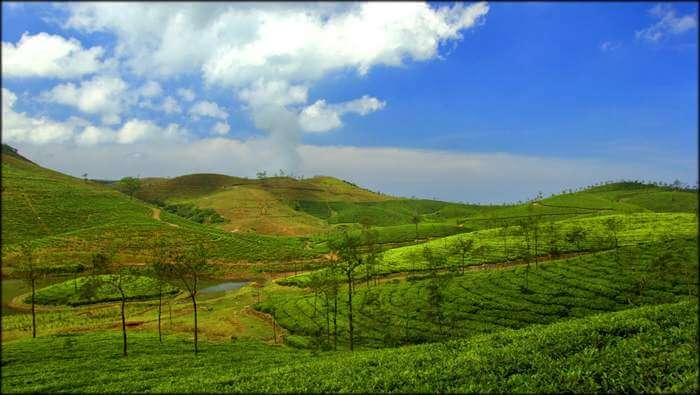 The beautiful little hamlet of Vagamon is an offbeat place to visit in Kerala