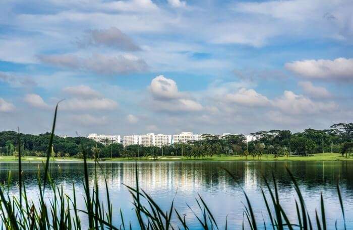 Yishun Dam View