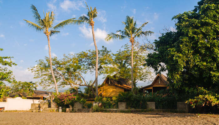 Delightful escape of Lovina Beach