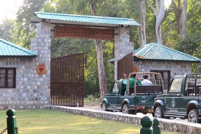 Tourists going for a jeep safari at Rajaji National Park