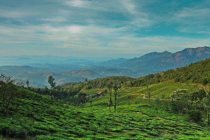 The spectacular view in wayanad