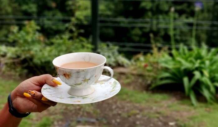 tea and nature's bounty in nainital