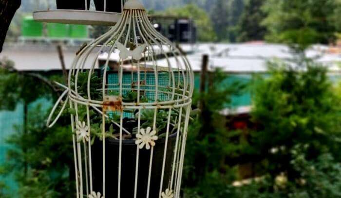 birdhouse at heritage resort nainital