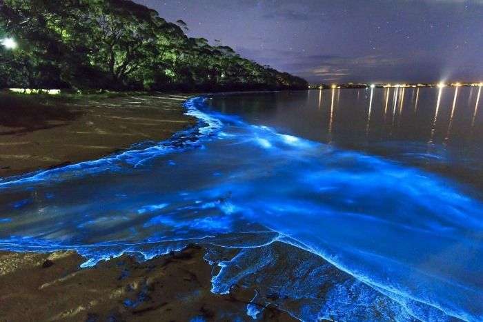 Bioluminescent bay of Vieques island in Maldives
