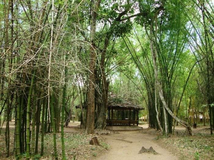 Treetop bamboo cottages at Cauvery Nisargadhama Island