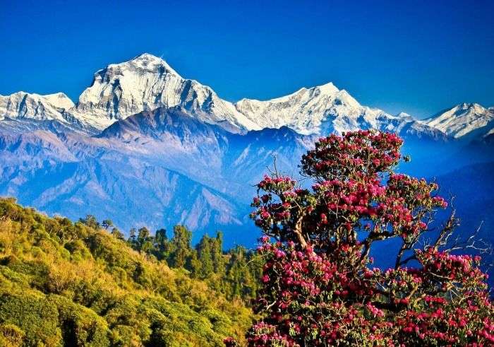 Scenic views, peacefully spiritual atmosphere and fresh air in Pokhra Nepal