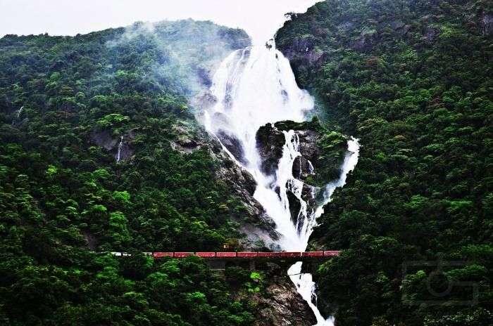 Dudhsagar, the milky white waterfall of Goa