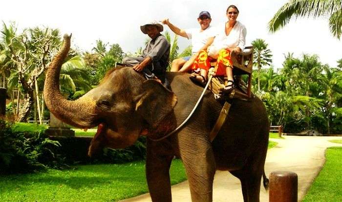 Getting ready for elephant safari in Periyar Wildlife Sanctuary