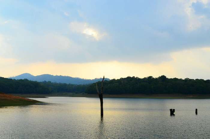 Surreal Periyar Lake at Periyar Wildlife Sanctuary