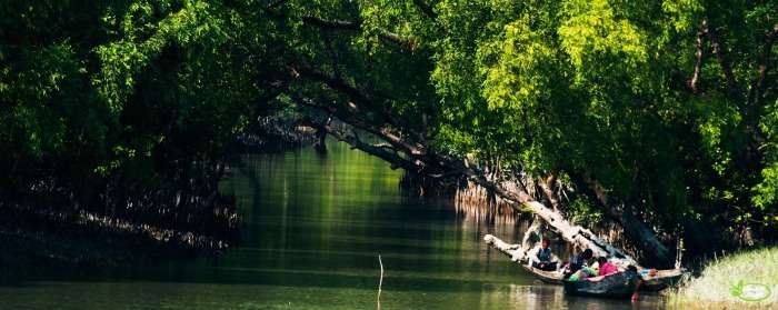 Sunderban Boat Cruise in West Bengal