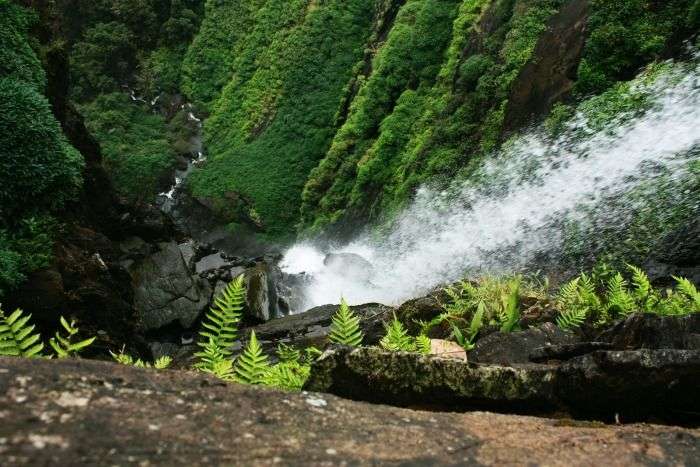 Agumbe is the Cherrapunji of South India