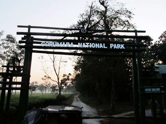 Gorumara National Park in Chalsa