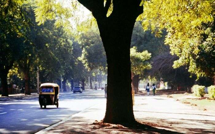 Delhi is one of the greenest capitals in Asia