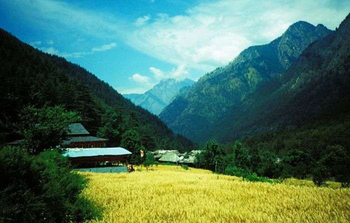 Explore the forested valley around Kasol Village