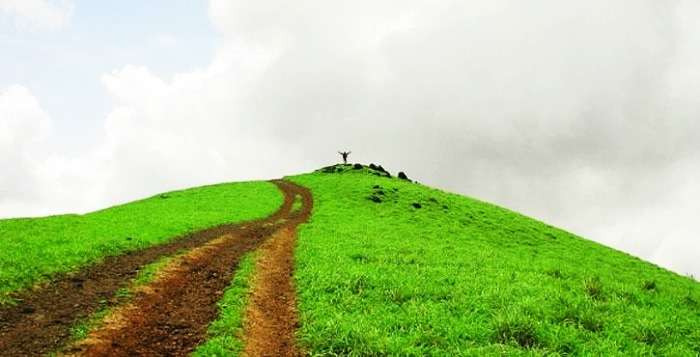 The verdant slopes of Kodachadri hill station in Karnataka