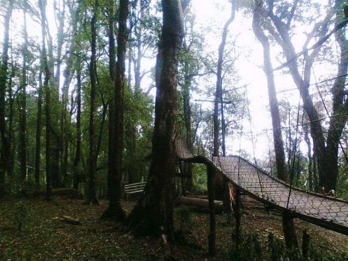 A wooden walkway in Lolegaon
