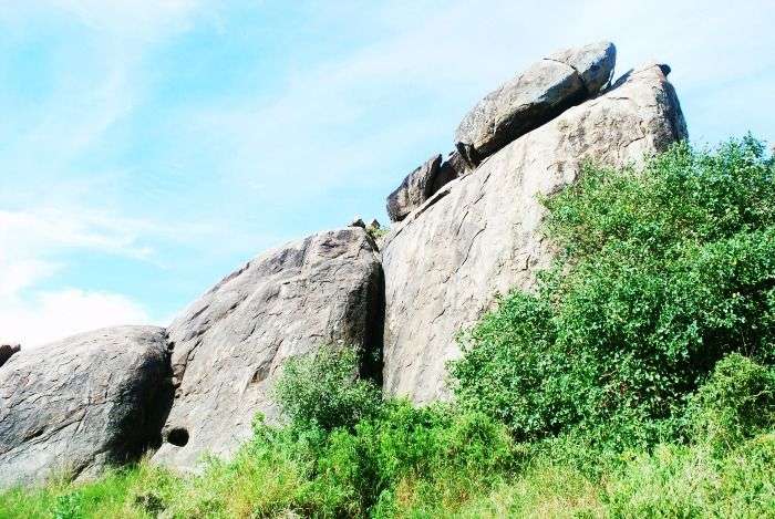Pride Rock in Serengeti National Park