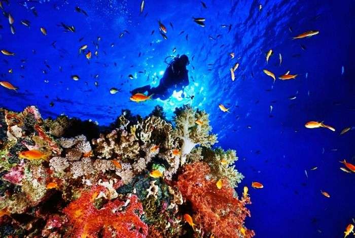 Scuba diving near Active Volcano in Barren Island
