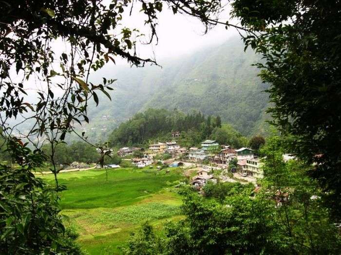 The green valleys of Uttarey