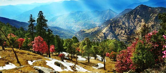Almora in Uttarakhand