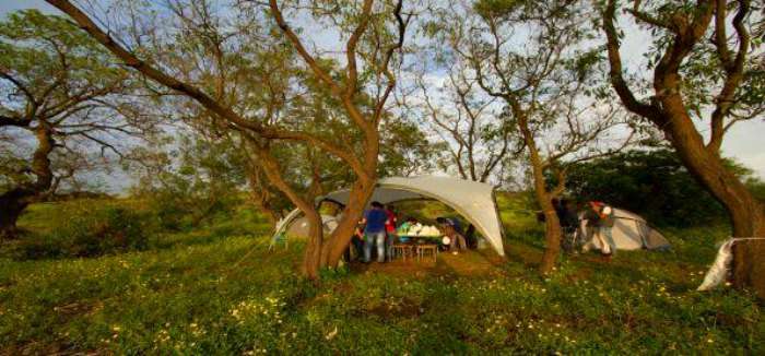 Barbeque camping in Lonavala