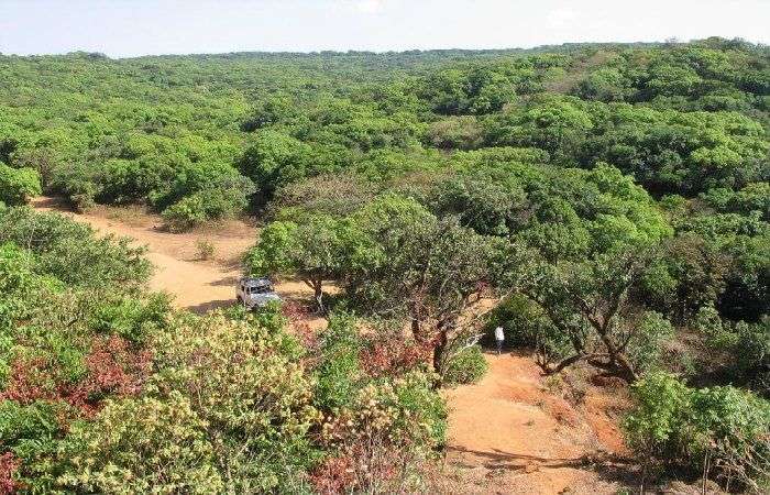 Dajipur is a perfect picnic spot near Pune for families with Children