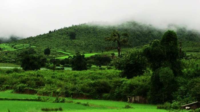 Beautiful valleys, coffee gardens, pine jungles and lots of scenic beauty