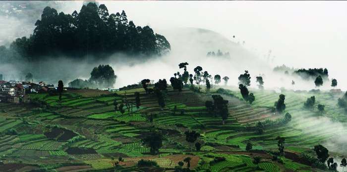 The gorgeous backdrop and the enchanting view of the Kodaikanal