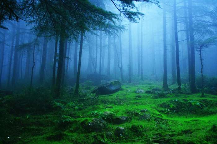 Lambasgini is a popular hill station in India in summers
