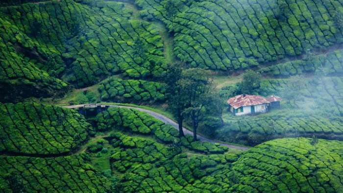 The hilltop destination has beautiful climate, tea gardens and stunning locations.