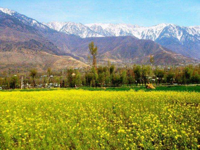 Pulwama - The city of colorburst