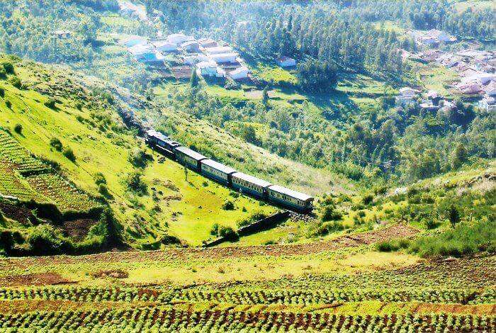 Coonoor in Tamil Nadu is amongst the best offbeat summer vacation destinations for families in india