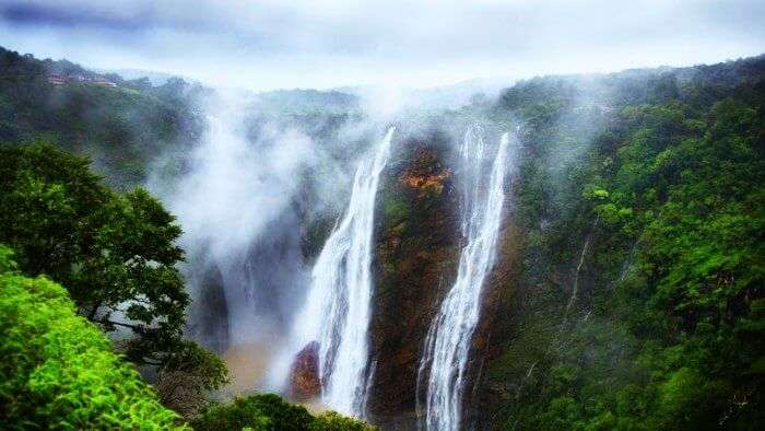 Jog falls come alive during monsoons and is one of the best places in India during rainy seasons