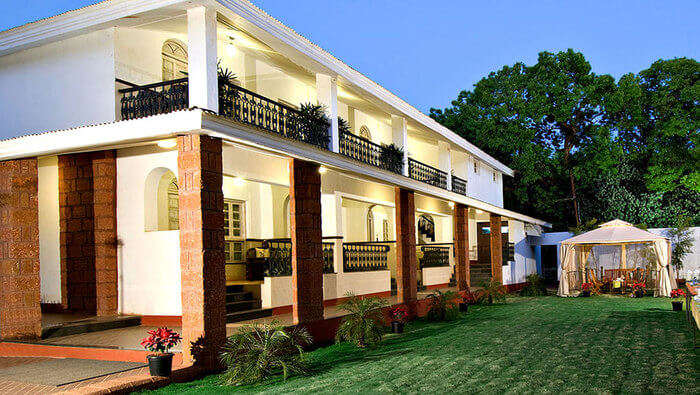 citrus hotel