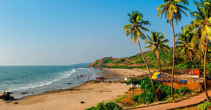 Image result for Goa