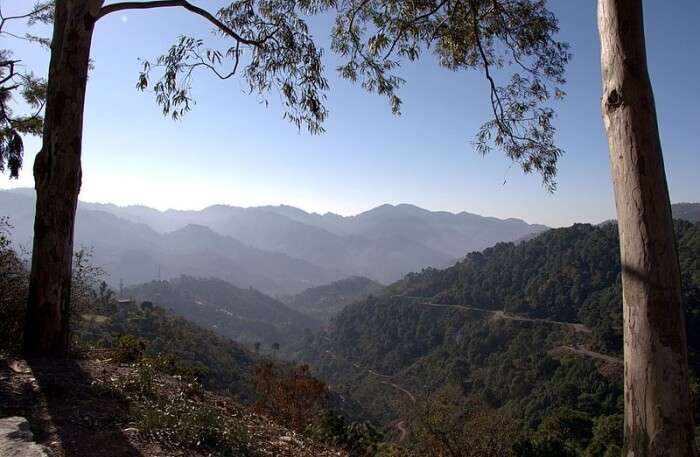 Kalka-Kasauli Trek