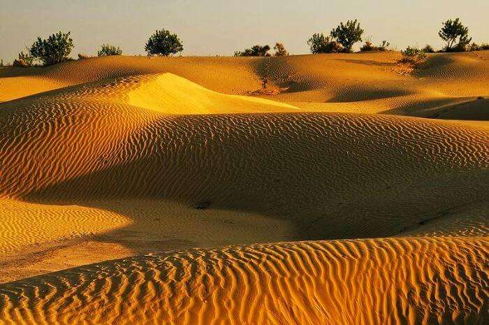The vast spread of naturally formed Sand Dunes in Jaisalmer