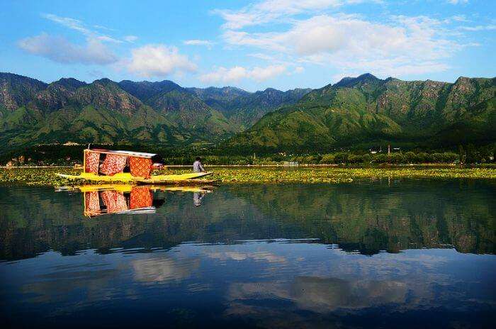 A splendid view of the Shikara, the city of Srinagar, and the reflection of hills at Dal Lake