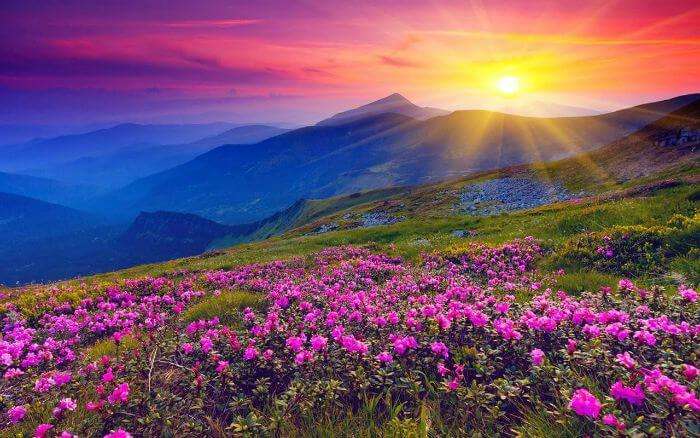 The sun rays reach out to one of the most beautiful places in India- Valley of Flowers