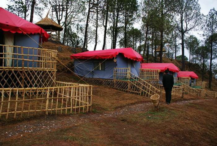 Eco tents at Sanawar Nature Camp in Kasauli