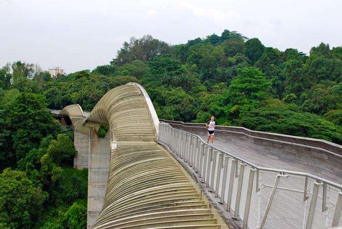 Meandering Southern Ridges is among the places to visit in Singapore for free