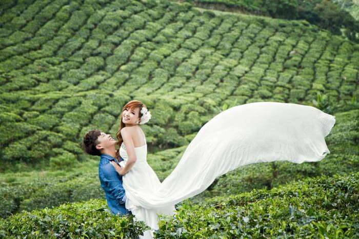Honeymoon in Munnar