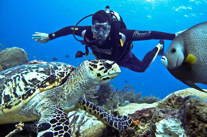 Scuba Diving in beautiful Netrani Island