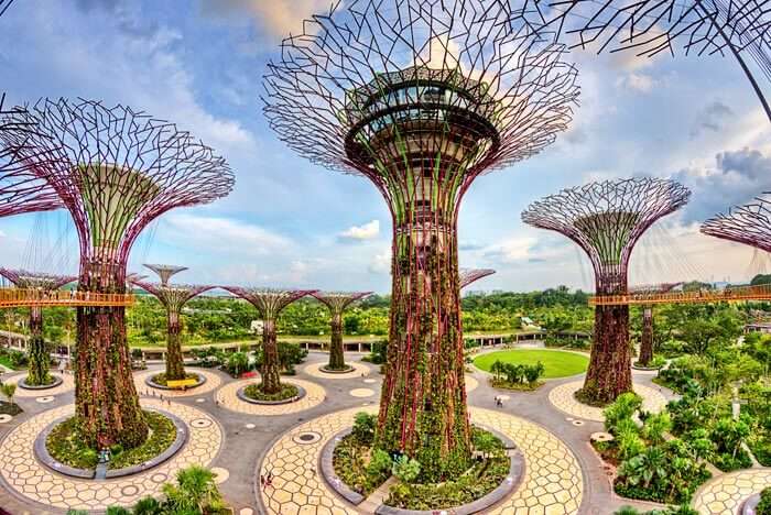 Supertrees at Gardens by the Bay is a green place to visit in Singapore for free