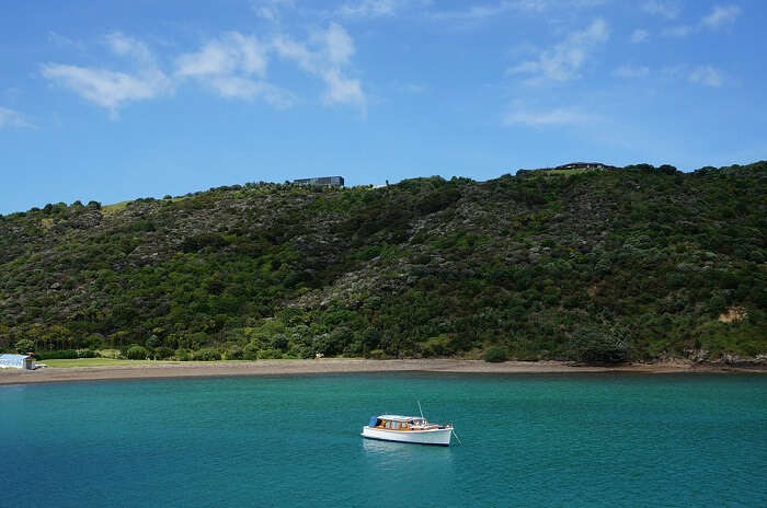 Waiheke Island- New Zealand tourist attractions