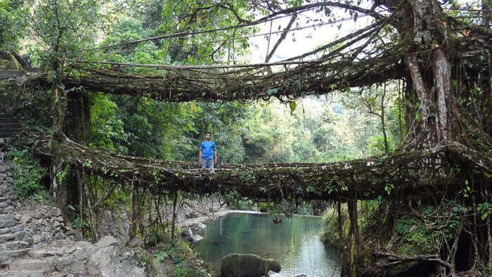 A man stands on the living root bridge in Meghalaya