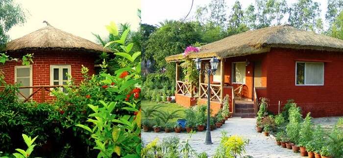 A view of huts at the Sunderban Tiger Camp